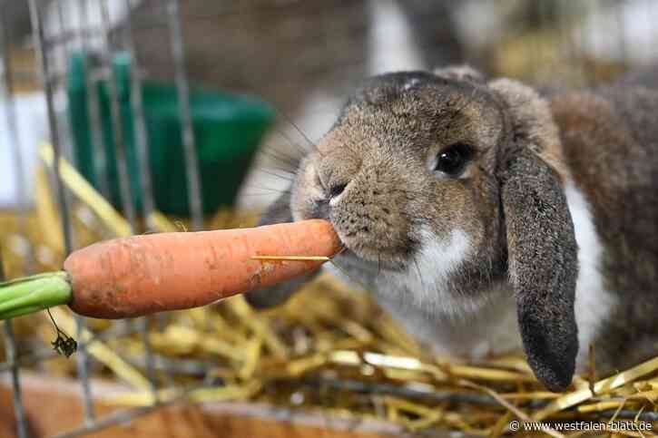 Kleintierzüchter in Werther feiern 125-jähriges Jubiläum