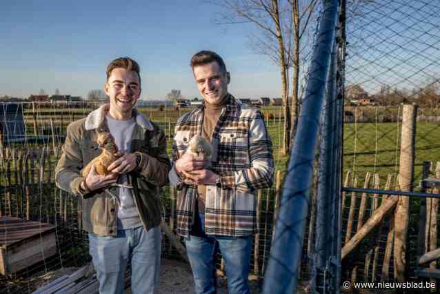 Barteld en Jonas uit ‘Blind Gekocht’ zetten hun woning na minder dan een jaar opnieuw te koop: “Nu kunnen we onze grote droom toch nog waarmaken”