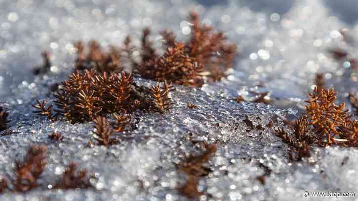 New Mexico 2023 water supply outlook 'encouraging'