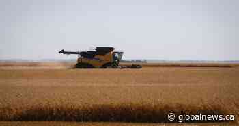 Prairie provinces stand to benefit the most from boost to immigration target: report