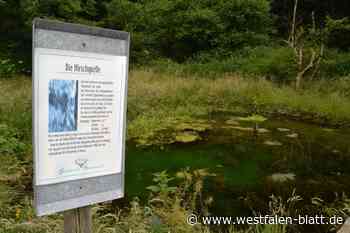 Die Hirschquelle wird ein Idyll