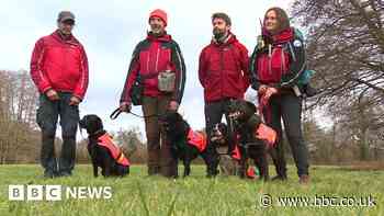 Four new south west search and rescue dogs qualify for action