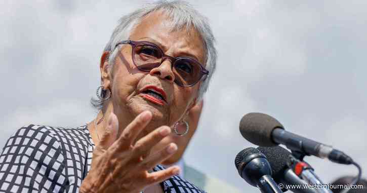 Democratic Lawmakers Throw Police Under the Bus with State of the Union Pin
