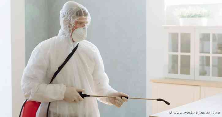 Exterminator Stunned by What He Found in Client's Walls, Pics Show the Shocking Find