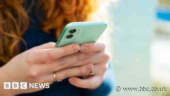 Digital pound likely this decade, Treasury says