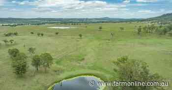 Quality, multititle cattle and cropping country | Video