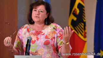 „Generatoren der Hoffnung“ für die Ukraine: Bärbel Kofler bittet um Mithilfe bei Aktion des EU-Parlaments