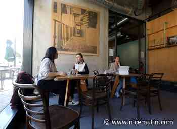 Le Starbucks d’Apolline ferme pour trois semaines et vend son mobilier à Monaco
