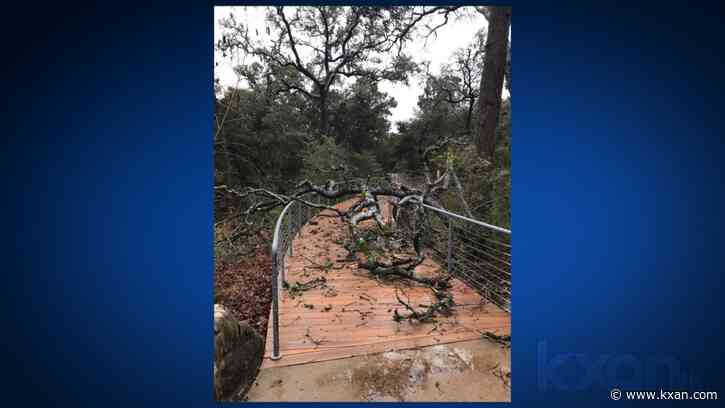 Wildflower Center battered by winter ice storm, but looks ahead for spring blooms