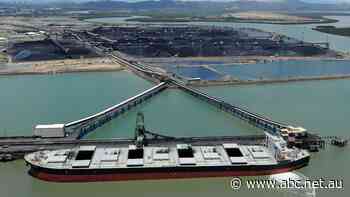 First Australian coal in more than two years arrives in China