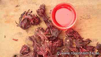 Diabetes, Hautprobleme, hoher Blutdruck: Welcher Tee gegen chronische Entzündung wirkt