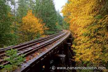 ‘Strategically important’: Feds weighing $431M Vancouver Island Rail Corridor future