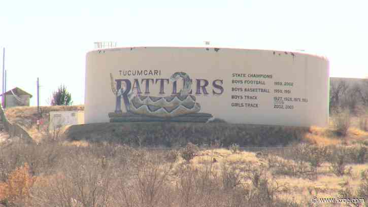 Mom and son charged after dog pack kills Tucumcari man