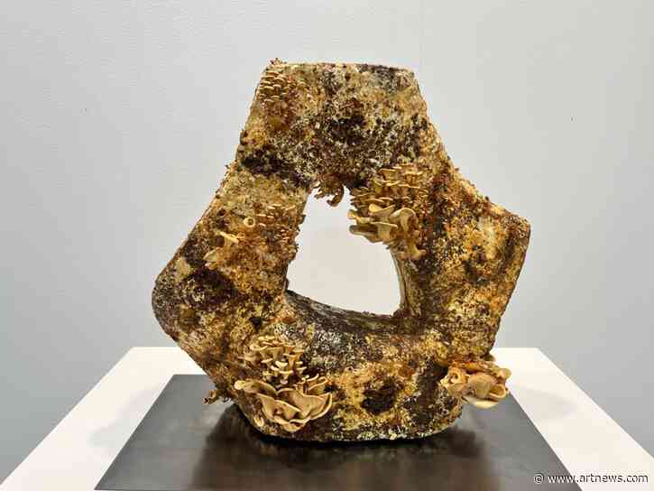 At Zona Maco, Sculptures Made In Collaboration with Fungi Shine