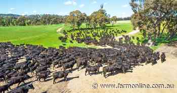 North Asia still gold for beef exports