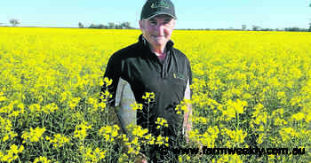 Grain groups chip in on food security
