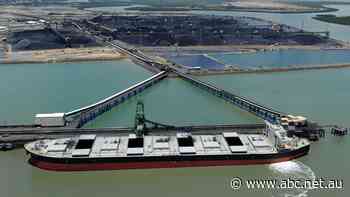 Opposition calls for more to be done on trade with China as coal exports resume