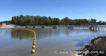 River relief as weirs are restored