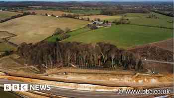 HS2 Ltd miscalculating impact on nature - Wildlife Trusts