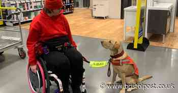 Cribbs Causeway shopper's assistance dog attacked by ‘Chihuahua in handbag’