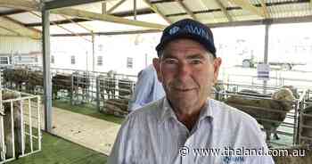 Wool auctions' positive trend continues