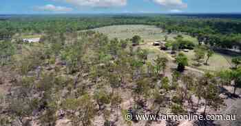 Cattle breeding country listed for $5000/breeder area | Video