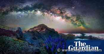 International garden photographer of the year – in pictures