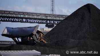 Rejection of Clive Palmer's coal mine makes history but government says no precedent set