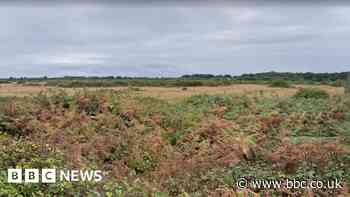 Hamble Airfield: Quarry firm responds to residents' concerns