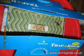 Indian takeaway to close after cockroaches and mouse droppings found