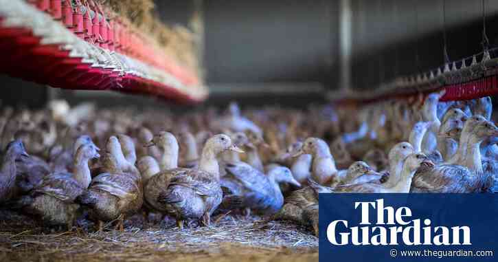 Zac Goldsmith criticises plans to shelve fur and foie gras import bans