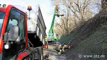 Baumarbeiten auf der Bundesstraße 88 bei Dorndorf-Steudnitz enden
