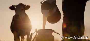 Berlinale verzichtet in diesem Jahr komplett auf tierische Milch