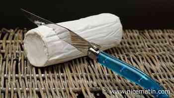 De la cocaïne cachée dans du fromage de chèvre en Corrèze