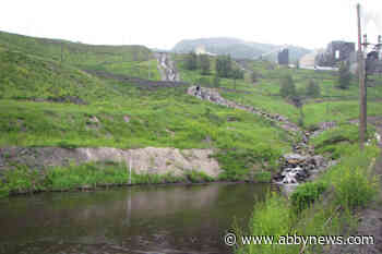 Teck Coal fined $16M for water quality permit violations in southeastern B.C.