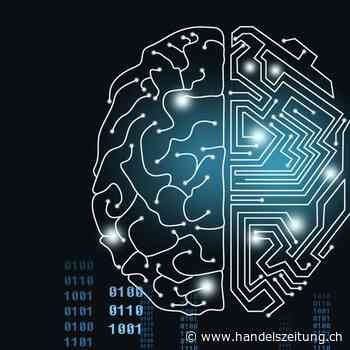 Der neue Klassenbeste