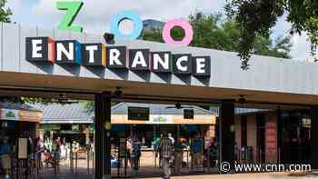 Houston Zoo's pelican enclosure was apparently vandalized after a slew of similar incidents at other zoos