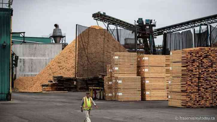 B.C. lumber industry on edge after Biden ups the ante on Buy American policies