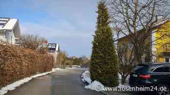 Warum eine sechs Meter hohe Thuje in Griesstätt gefällt werden soll