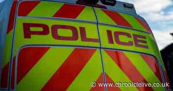 Pensioner dies at the scene after being knocked down in Trimdon car crash