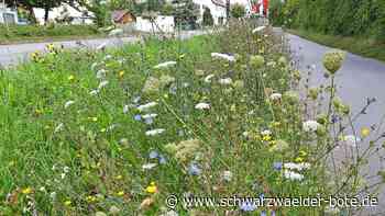 Blühen in Mötzingen und Jettingen: Projekt kümmert sich um Insektenwiesen