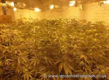 Cannabis plants discovered inside former bookies in Barnoldswick
