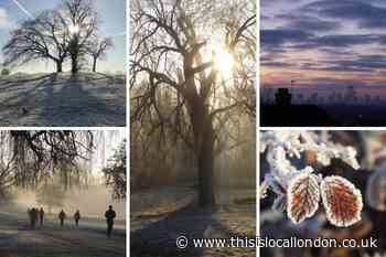 Reader's photos show Hampstead Heath on a frosty morning