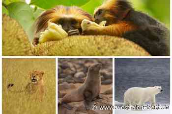 Naturwunder der Erde gratis erleben