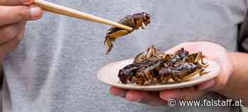 Aufgeklärt: Falschinfos zu Lebensmitteln mit Insekten in sozialen Netzwerken