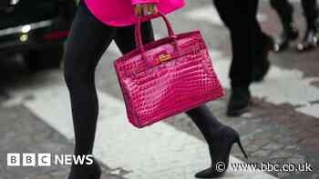 NFT images of furry Birkin bags violated trademark rules
