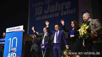 AfD-Jubiläum: Ton-Panne bei Nationalhymne sorgt für Spott auf Twitter und Instagram