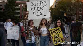 Is a conspiracy about birds being CIA drones showing us the future of satire?