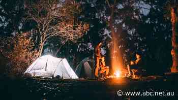 Are 'cowboy' private campsites the Uber of holiday stays? Caravan park owners think so