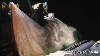 Spionageballon: USA sieht mehr als 40 Länder im Visier von Chinas Überwachung